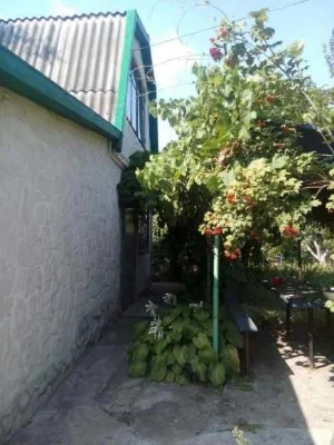 Продам дом біля води та лісу