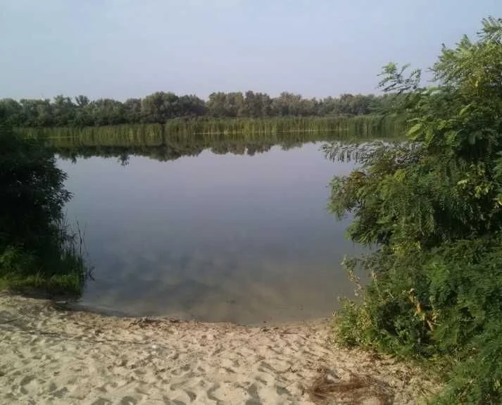 Продам дом біля води та лісу