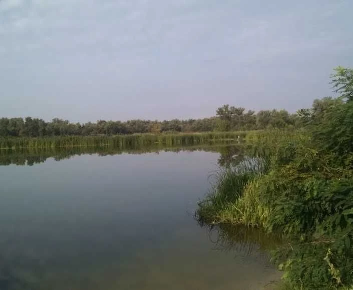 Продам дом біля води та лісу