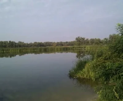 Продам дом біля води та лісу