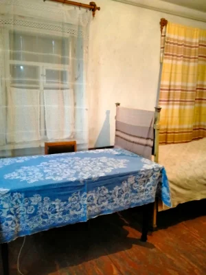 Продам будинок від власника, Кам"янське /  Романково,      Є