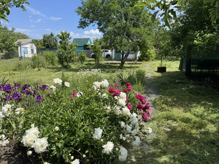 Дача Камʼянське, БАМ, Соцмісто, Хімік 3