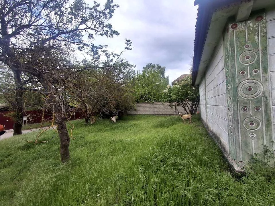 Будинок. Кам'янське, Травнева
