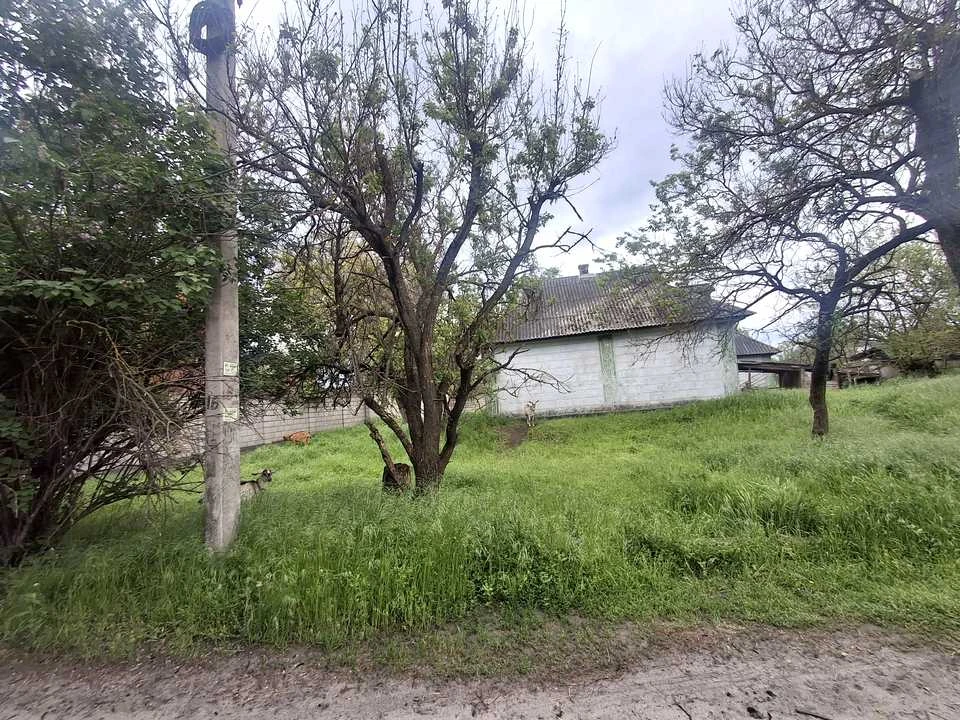 Будинок. Кам'янське, Травнева