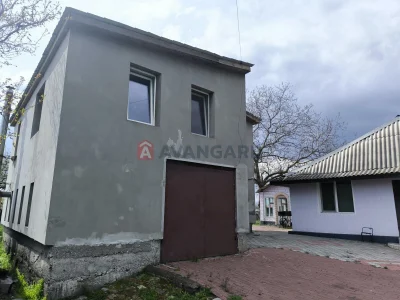 Продаж двох будинків на ділянці 28 соток у с. Єлизаветівка