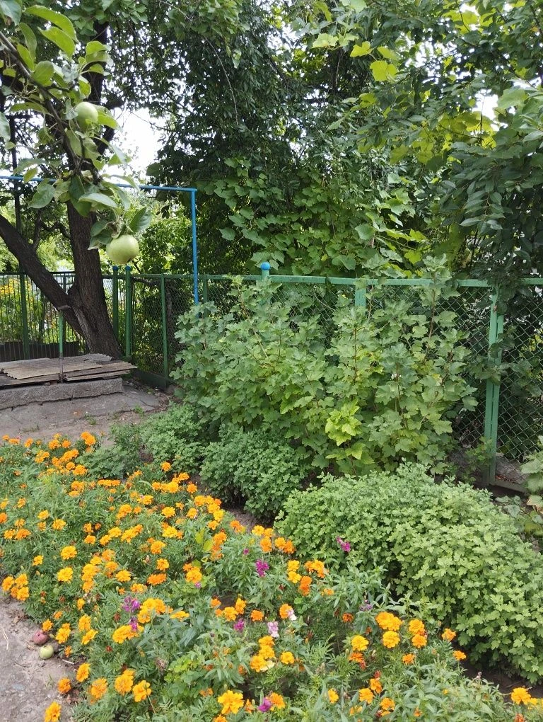 Продам 1/2 дома район 28 школы