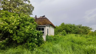 Продається будинок(хата - 40.5 м2 + ділянка-51 сот. - с.Єлиз