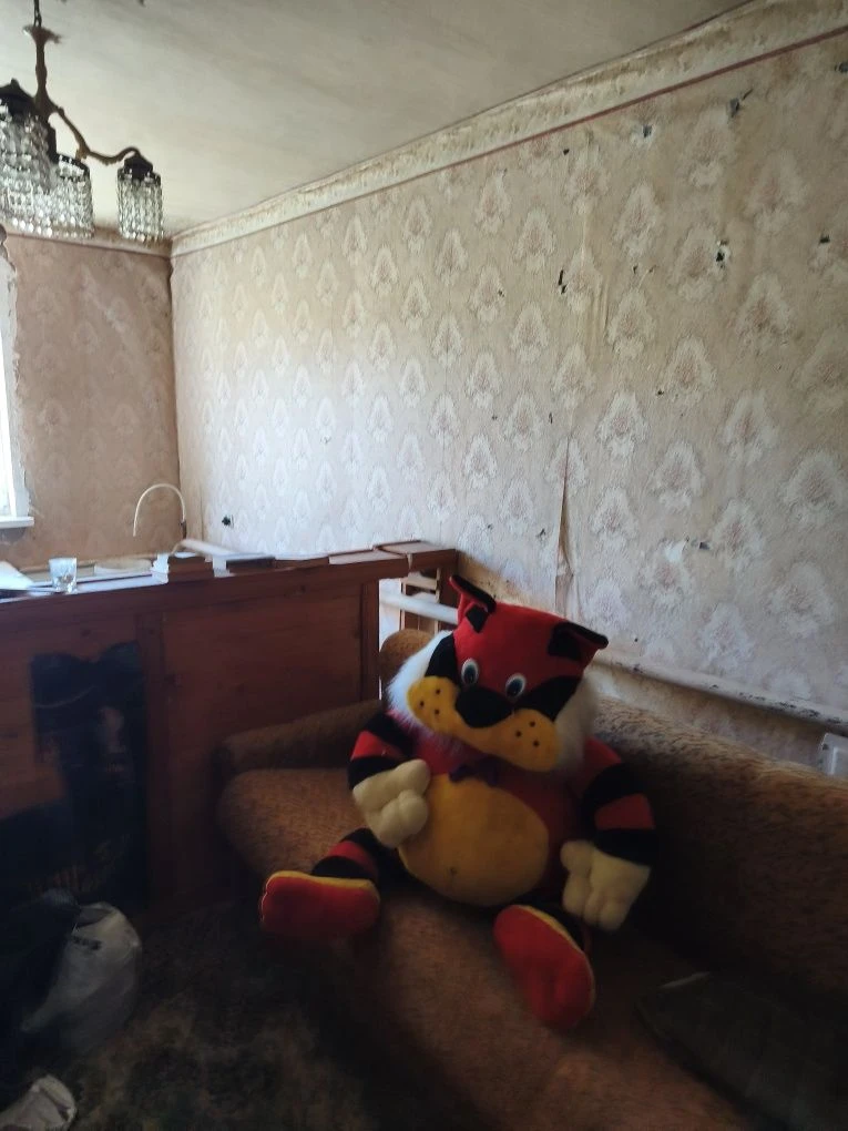 House for sale in the city center.