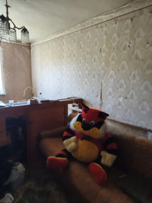 House for sale in the city center.