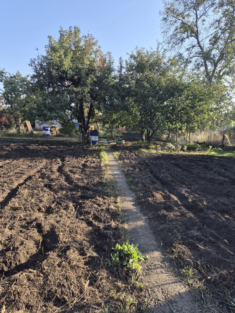 For Sale: Good Cottage, 7 Plots, Terny Cooperative, Sevgok District