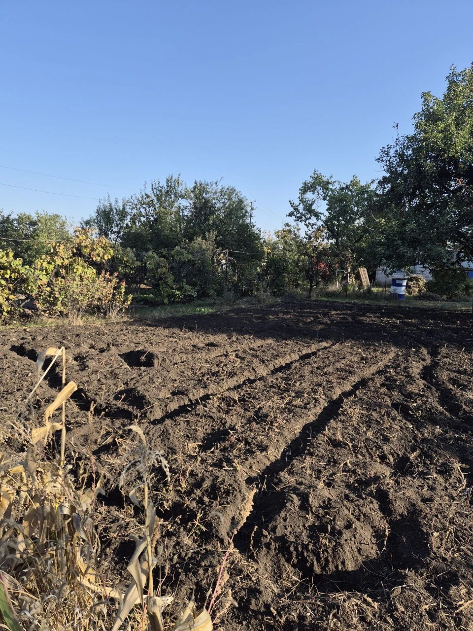 For Sale: Good Cottage, 7 Plots, Terny Cooperative, Sevgok District