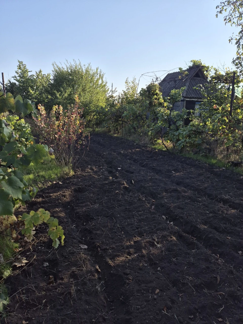 For Sale: Good Cottage, 7 Plots, Terny Cooperative, Sevgok District