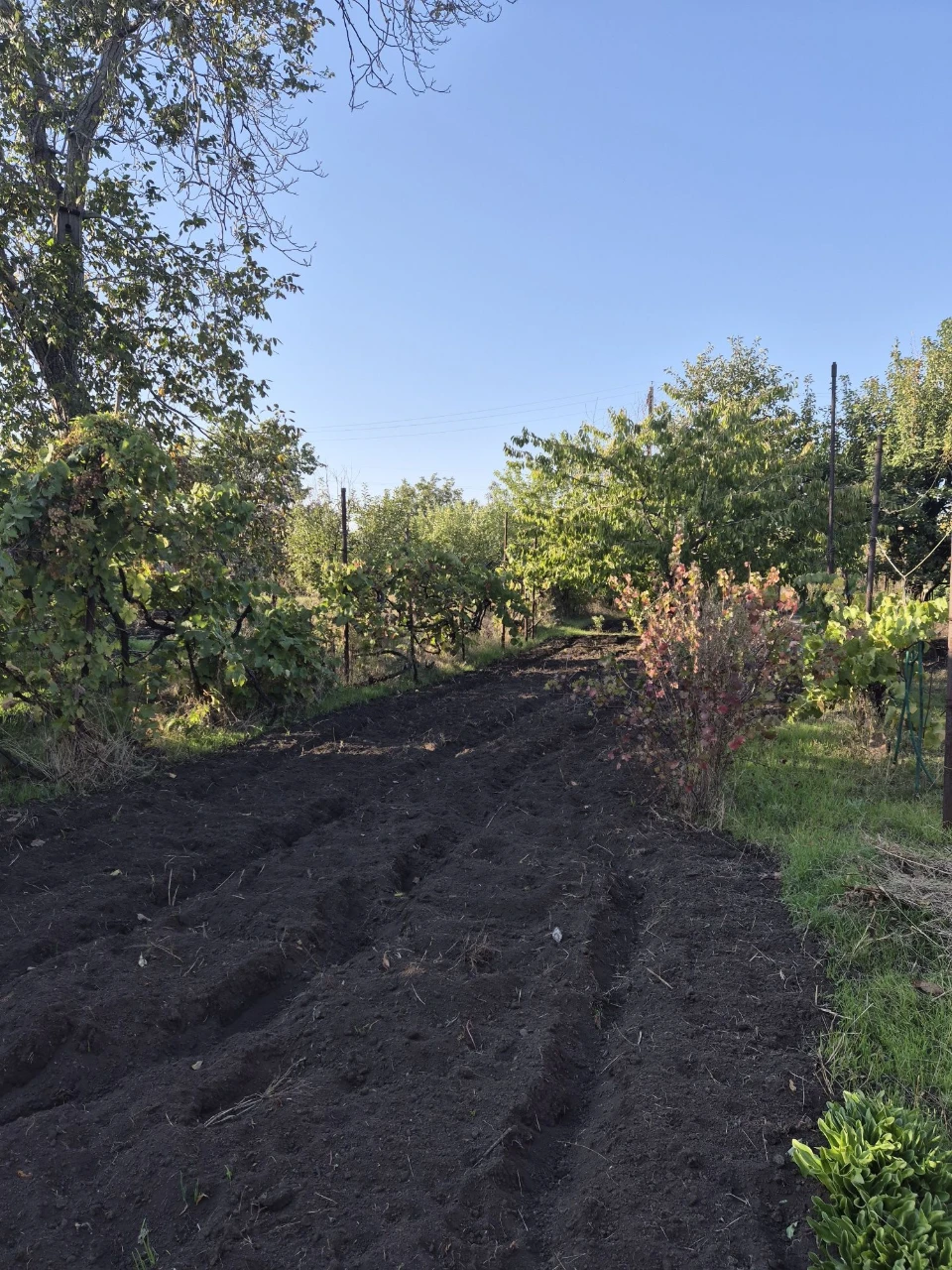 For Sale: Good Cottage, 7 Plots, Terny Cooperative, Sevgok District
