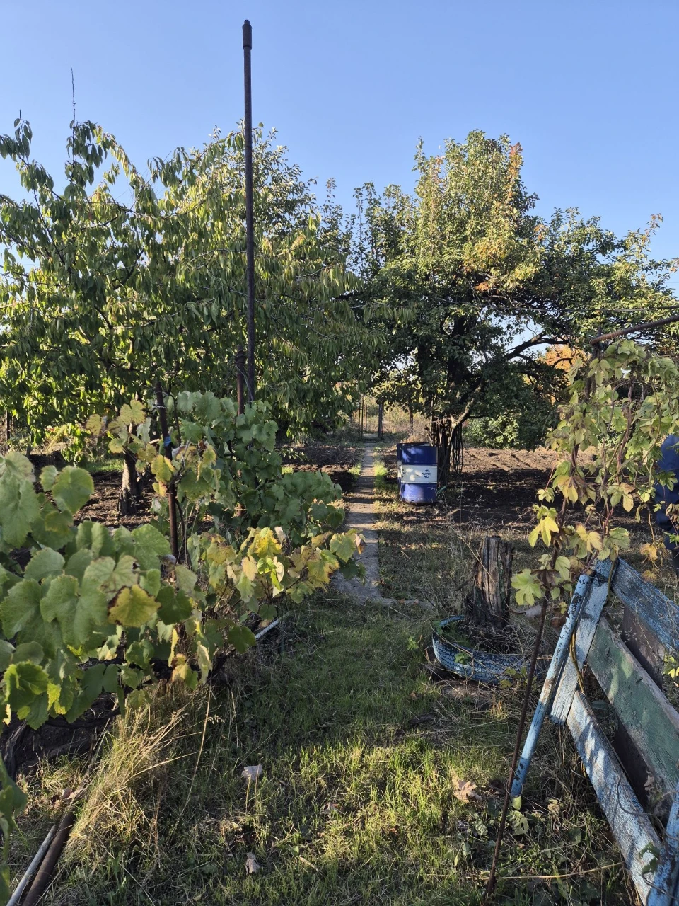For Sale: Good Cottage, 7 Plots, Terny Cooperative, Sevgok District