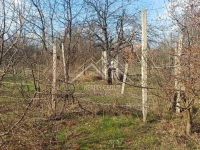 Будинок. Кривий Ріг, Одоївського вул.
