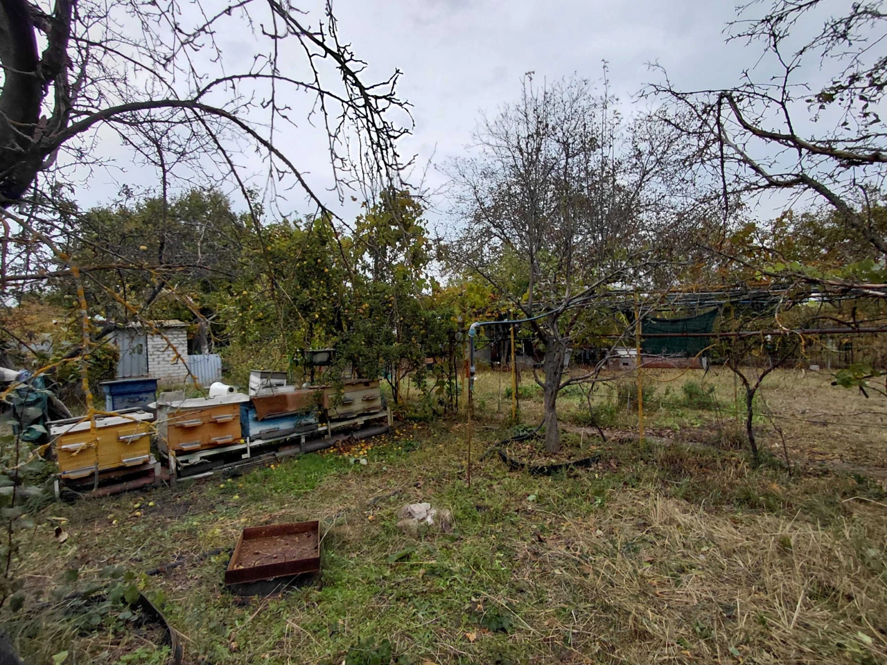 Капітальна 2-п. дача в СТ «Висотник»,піч, 0 боргів,сад,пасік