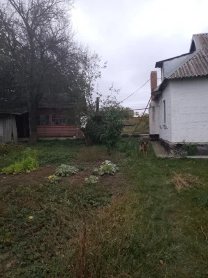 For Sale: House in the Smechki area