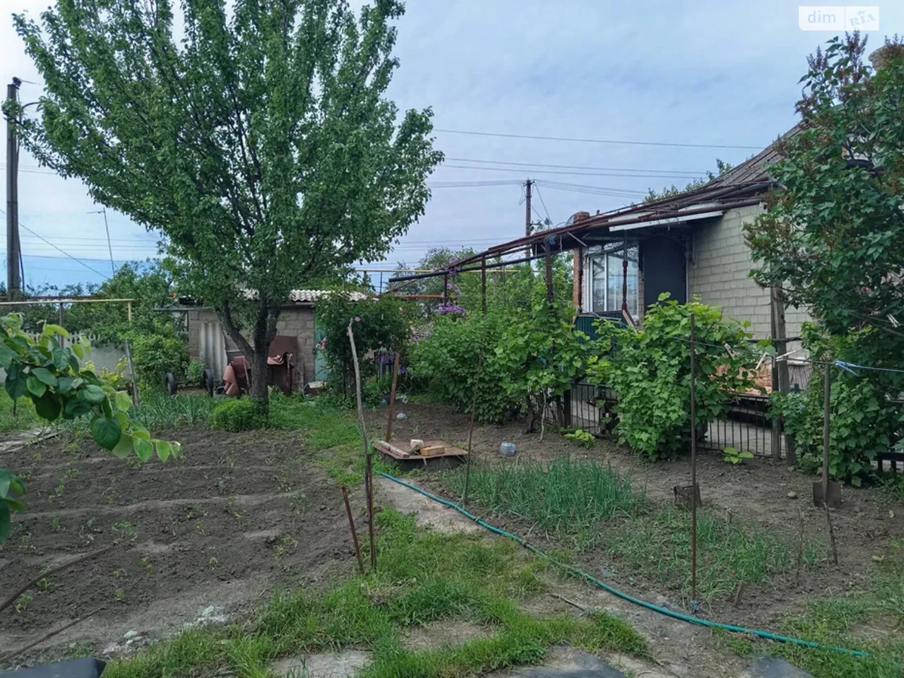 Sale of House in Ternysky