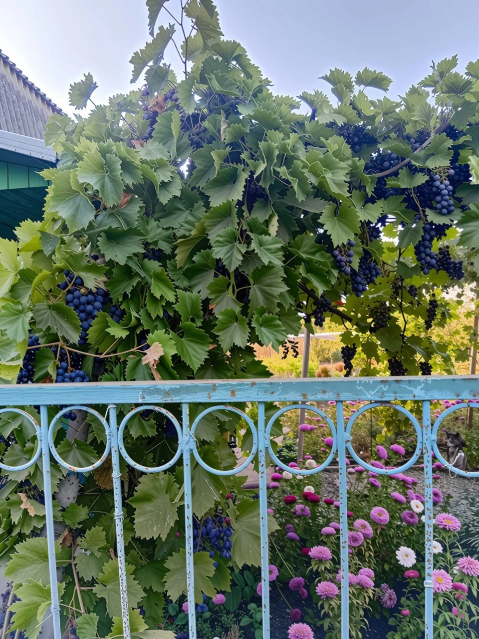 Продается участок под застройку