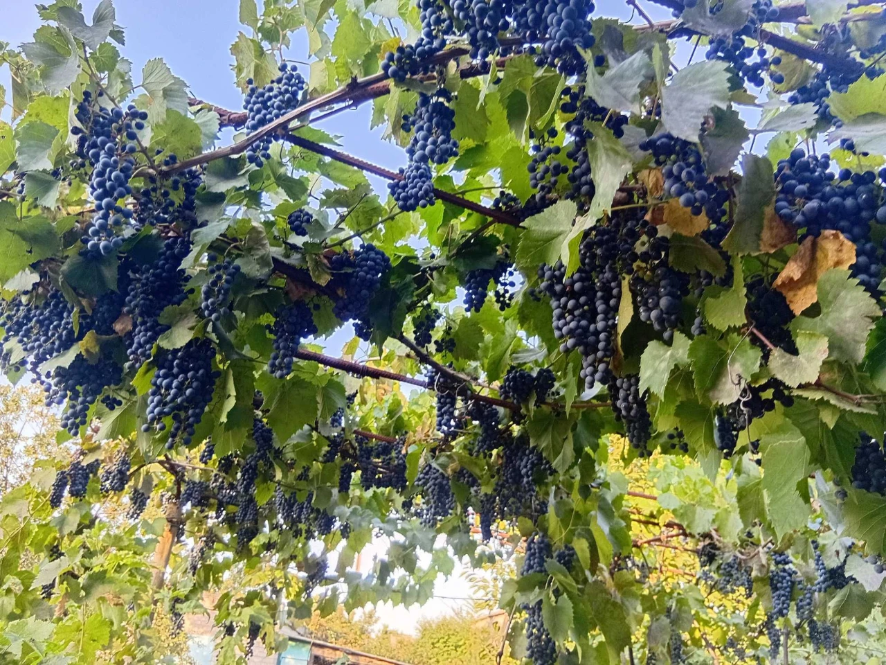 Продается участок под застройку