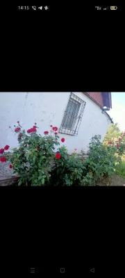 Cottage for sale in Mopri