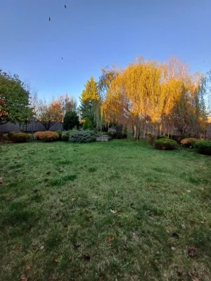 Interesting offer!! Sale of two houses on one plot