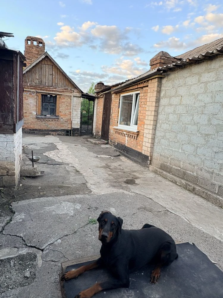House for Sale - Pavlo Skoropadsky (Schmidt) Central