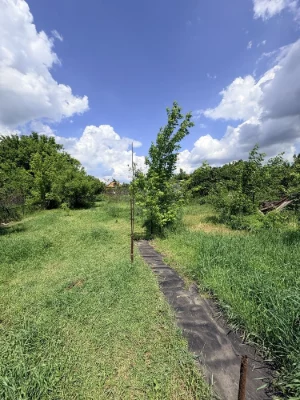 House for Sale - Pavlo Skoropadsky (Schmidt) Central