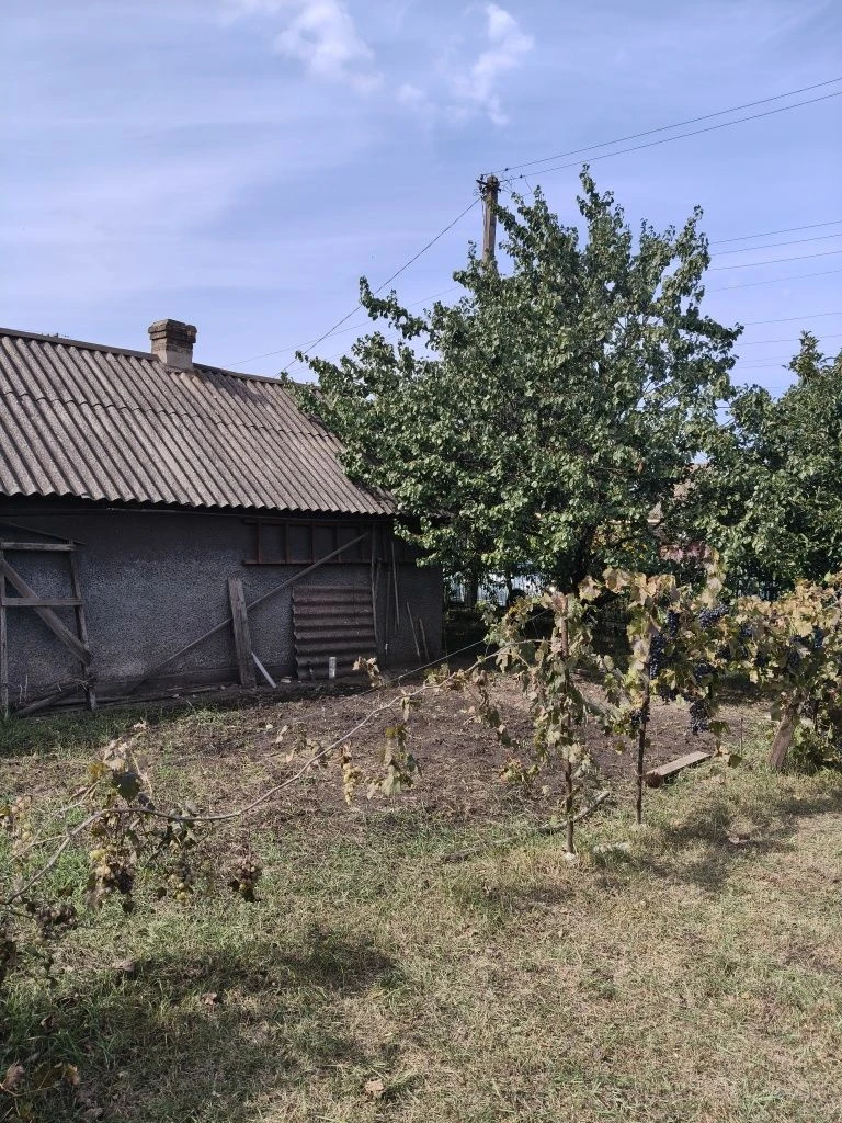 Private house in Trampark area