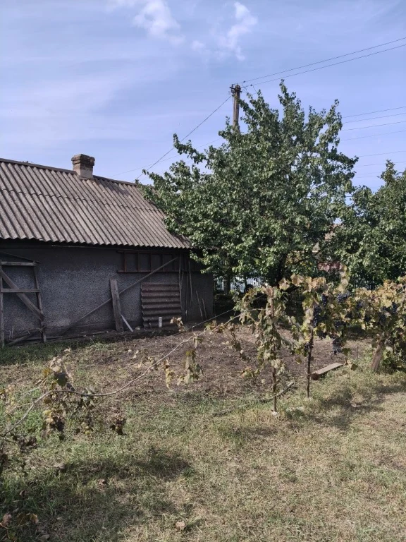 Private house in Trampark area