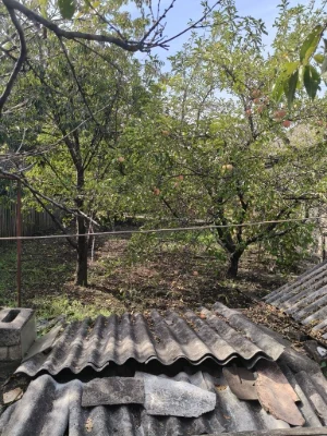 Private house in Trampark area