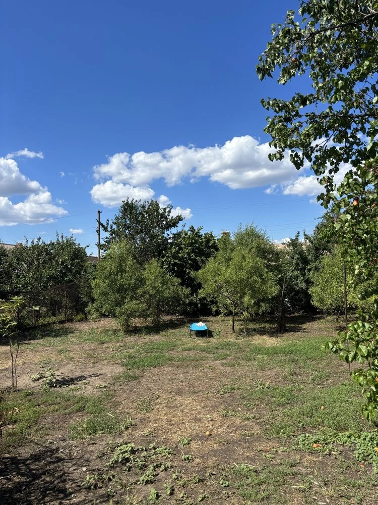 For Sale: House with a 10-Acre Plot in Metelopolysk