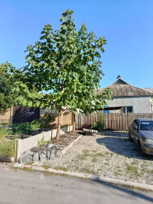House for sale in KRES (Street Francuzska)