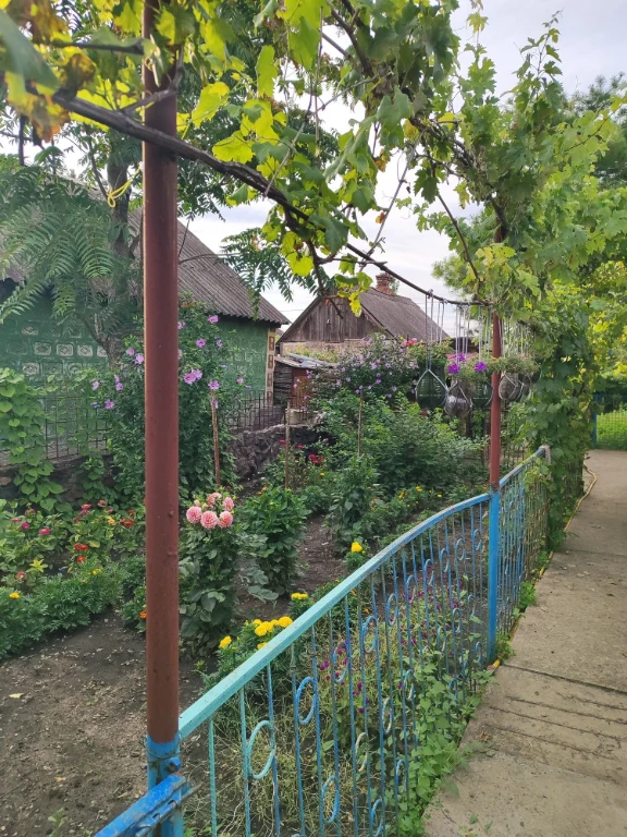 For Sale: House in Dovzhinsky District