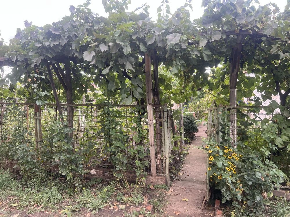 Продам дачу  на Шахтопроходе