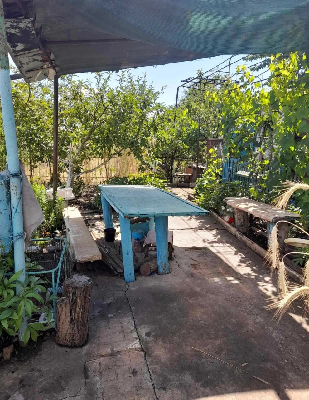 Cozy cottage for sale