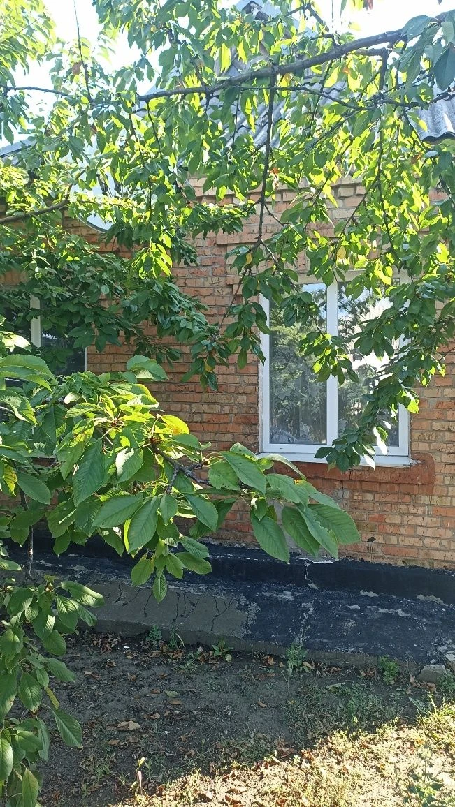 Продаж будинку. Божедарівка.