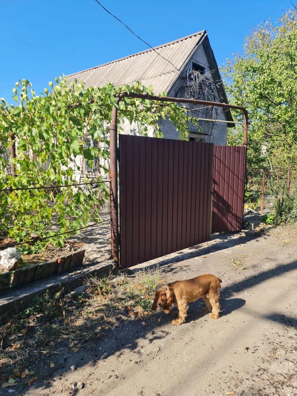 Продаю Дачу ТОВ "Симеренко"