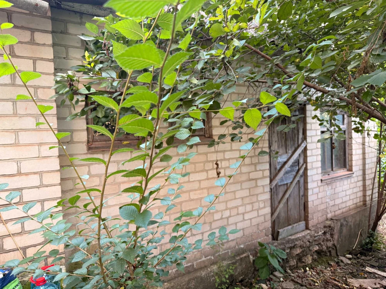 Land with House at 120 Taras Avenue (