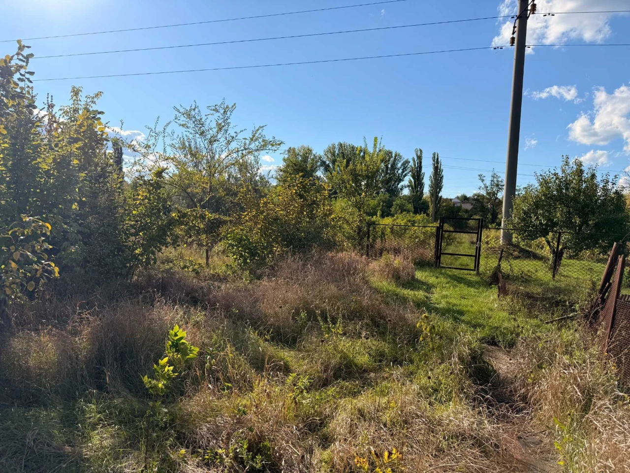 Land with House at 120 Taras Avenue (