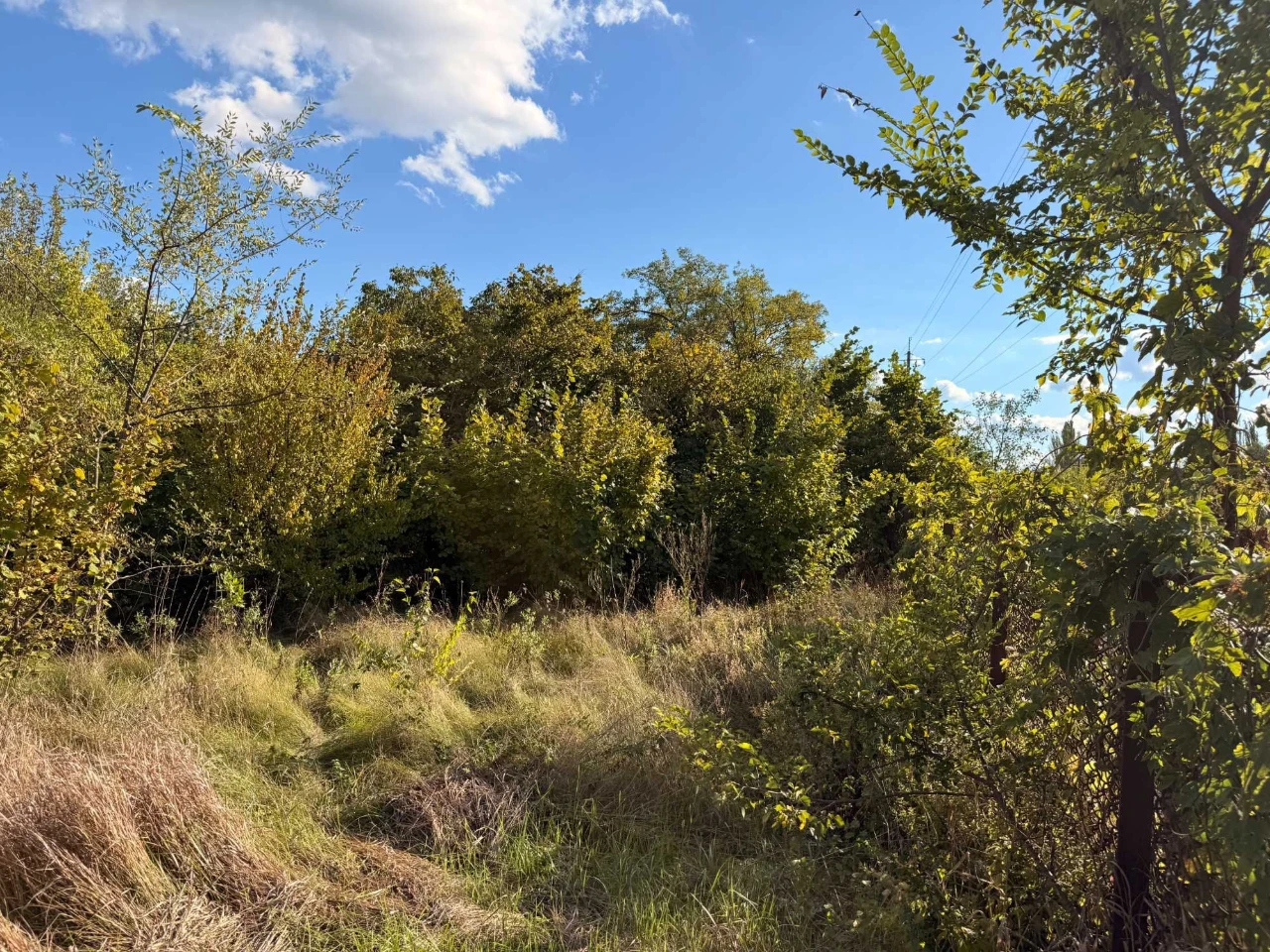 Land with House at 120 Taras Avenue (
