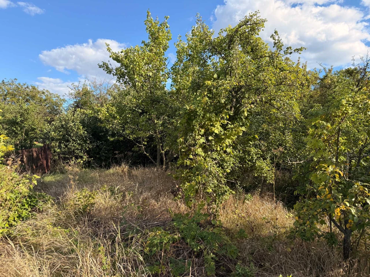 Land with House at 120 Taras Avenue (
