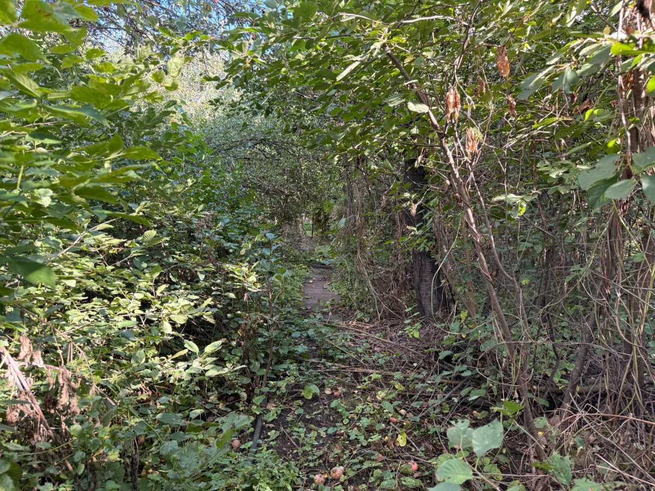 Land with House at 120 Taras Avenue (