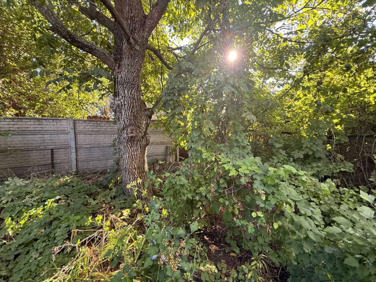 Land with House at 120 Taras Avenue (