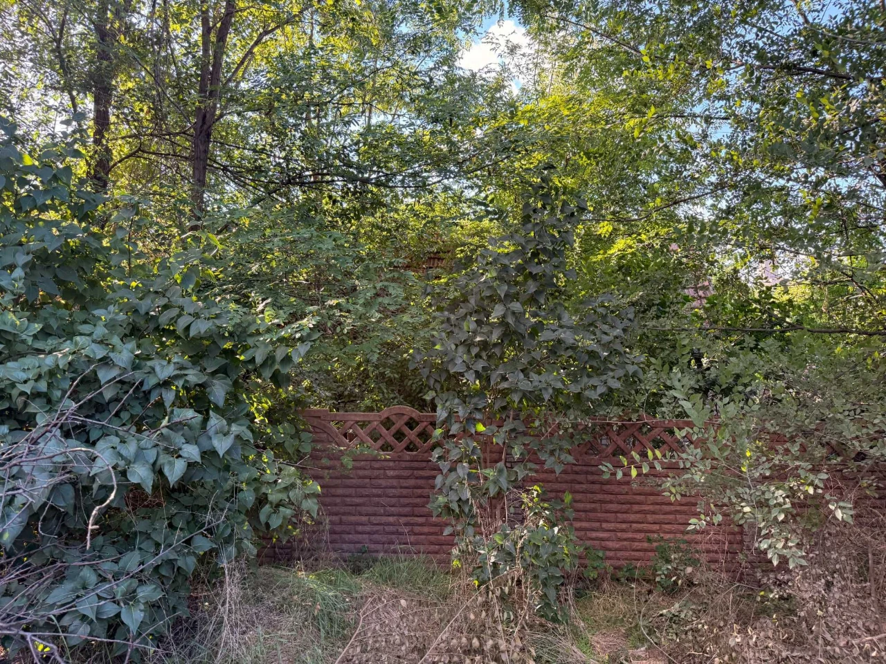 Land with House at 120 Taras Avenue (