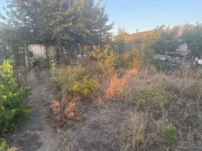 Dacha in Ternovsky district, Kryvyi Rih