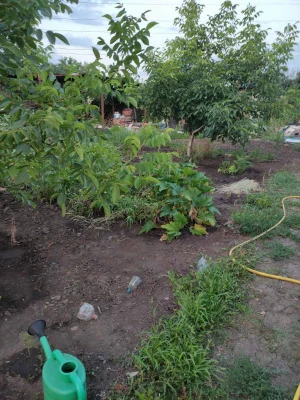 Продам дачу в центральноміський район