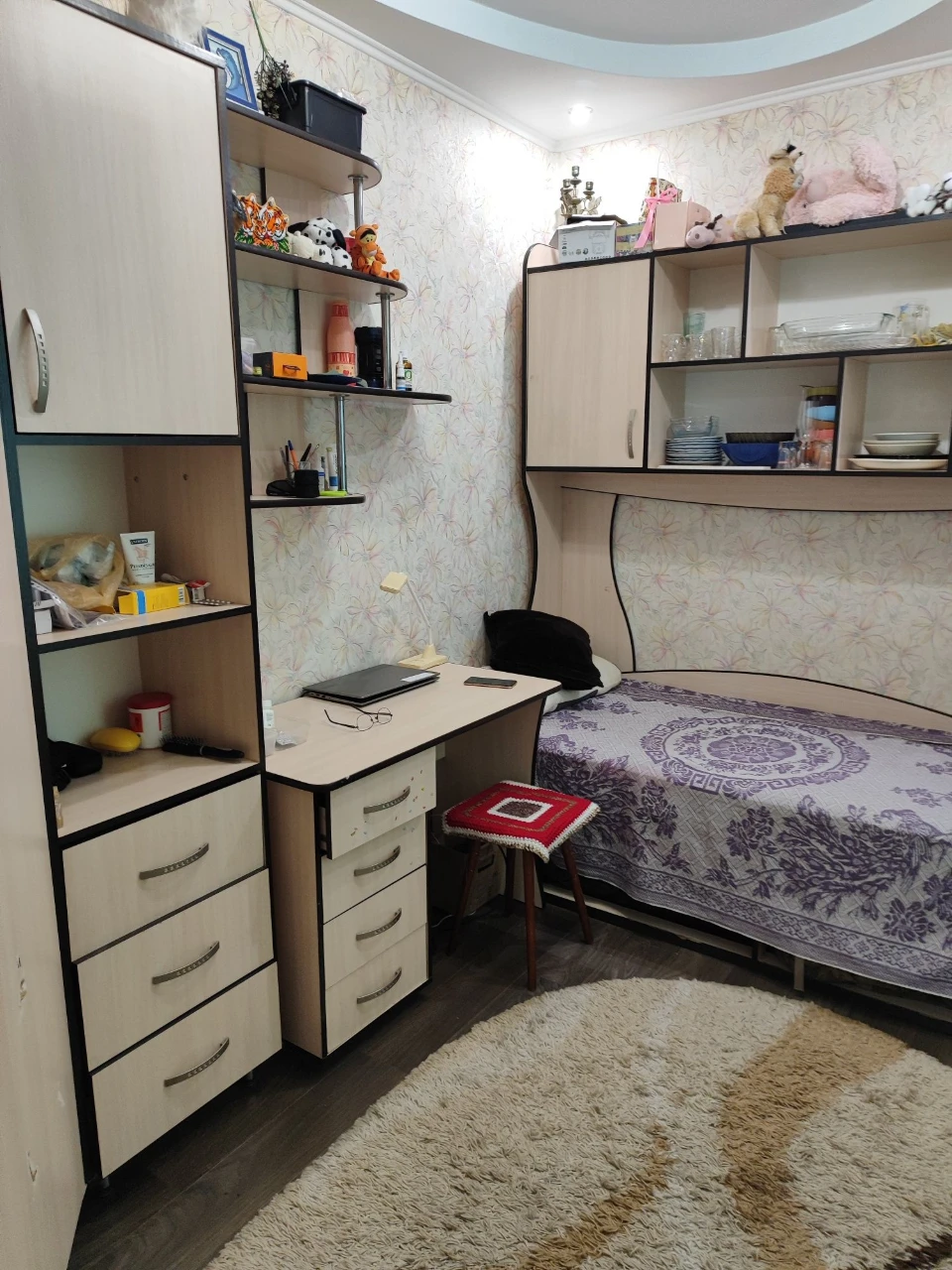 For Sale: House on Olkhvyska Street