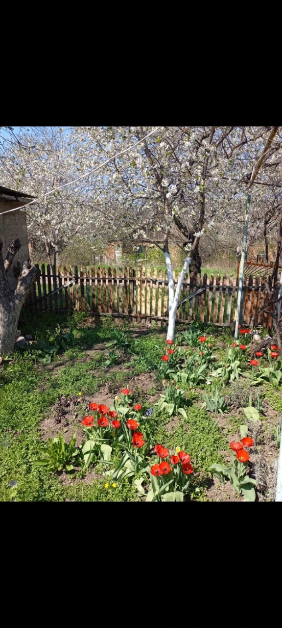 For Sale: House in the Gor'kiy (Chapayevka) area