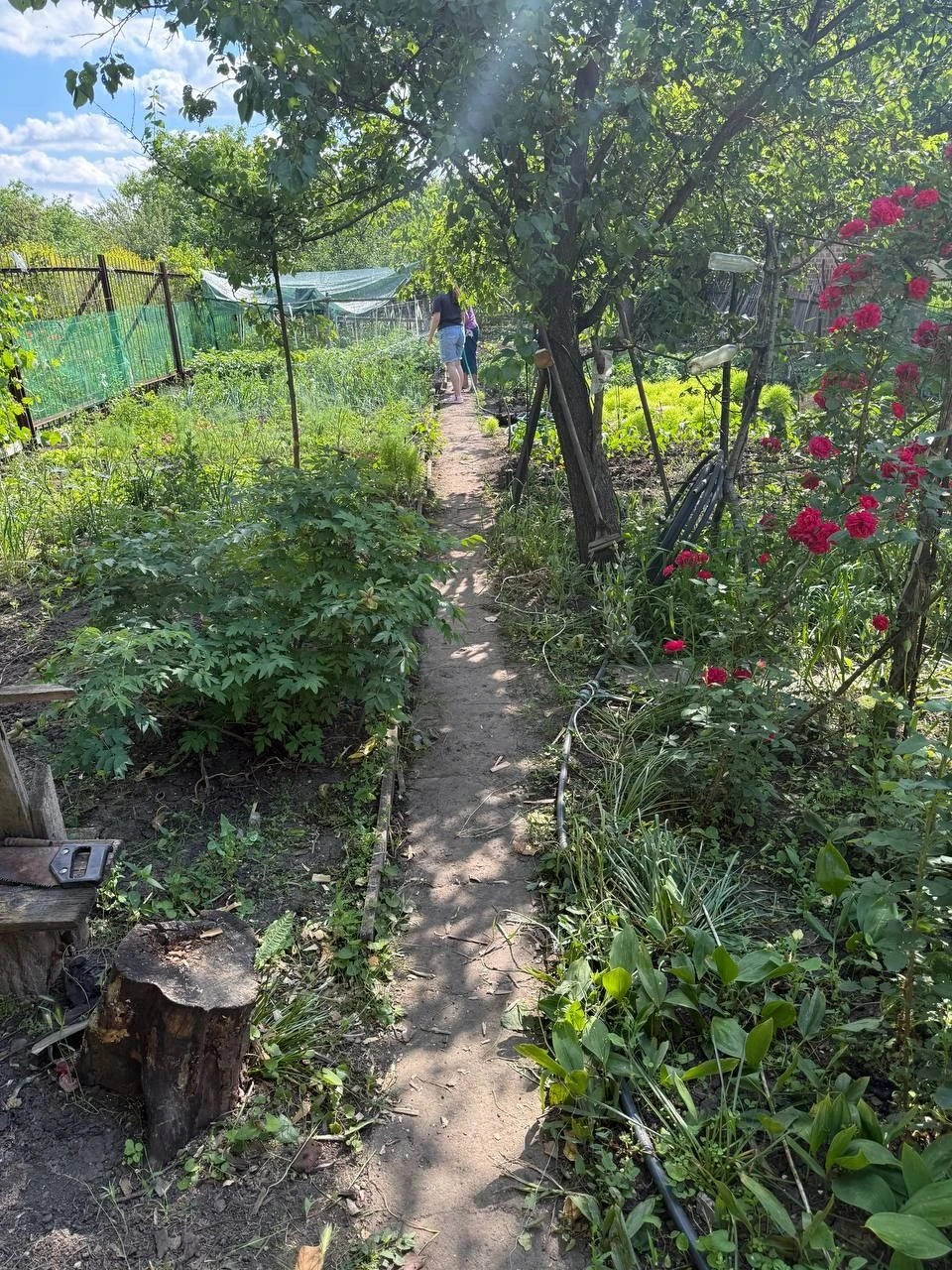 Dacha, village Незалежне, Krivoi Rog